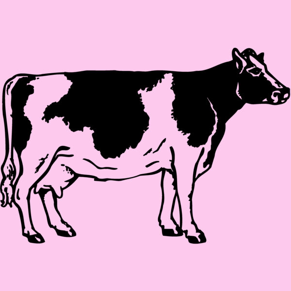 COW024 Thumbnail