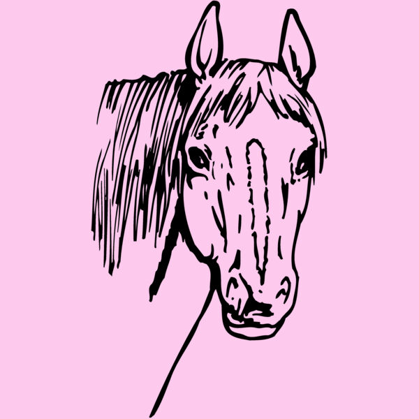 HORSE003 Thumbnail