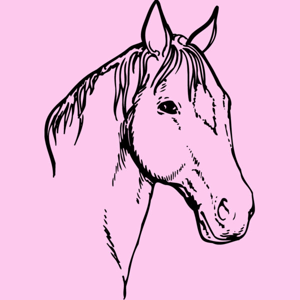 HORSE008 Thumbnail