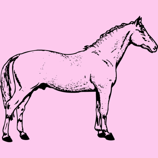 HORSE019 Thumbnail