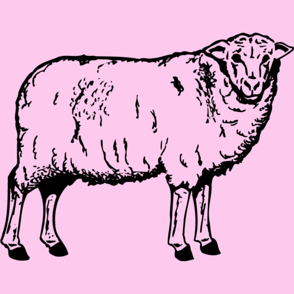 SHEEP002 Thumbnail