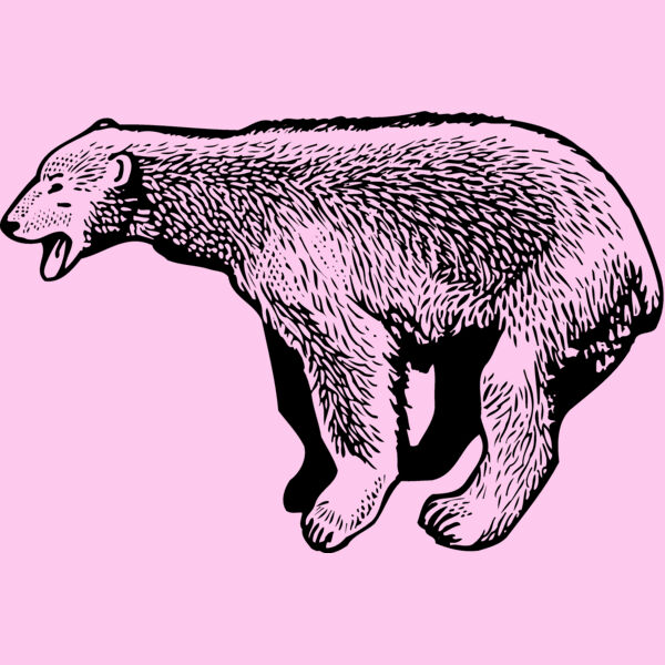BEAR014_ Thumbnail