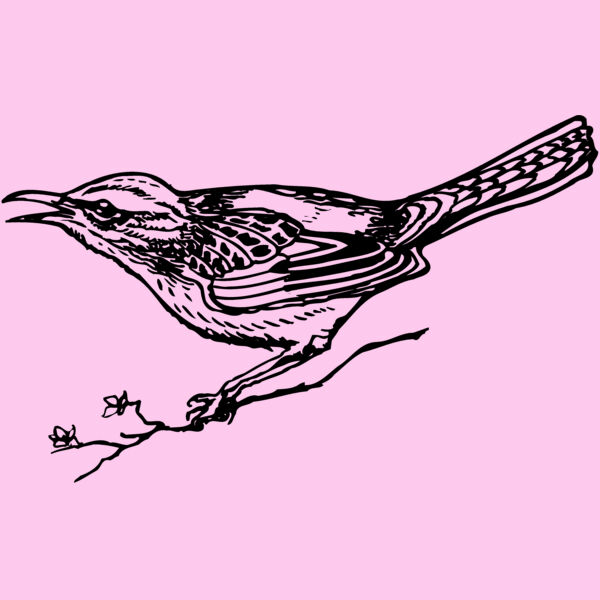 BIRD018 Thumbnail