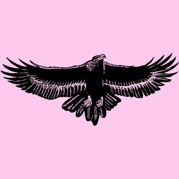 EAGLE010 Thumbnail