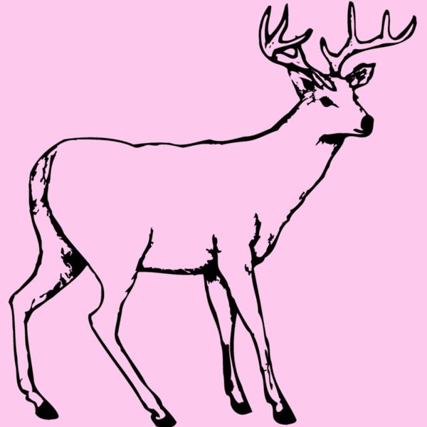 DEER002 Thumbnail