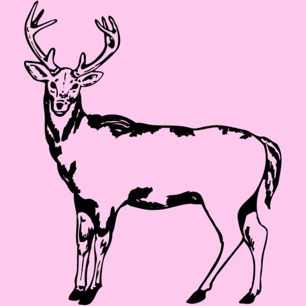DEER005 Thumbnail