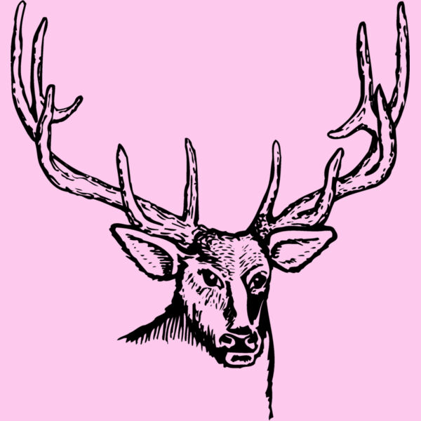 DEER007 Thumbnail