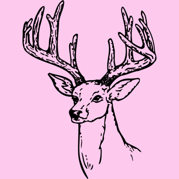 DEER009 Thumbnail