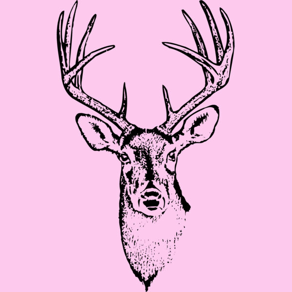 DEER010 Thumbnail