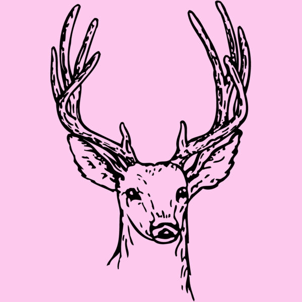 DEER011 Thumbnail