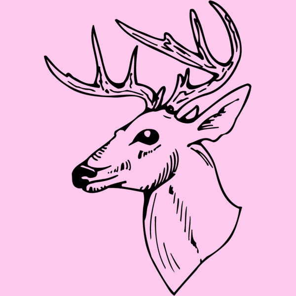 DEER018 Thumbnail