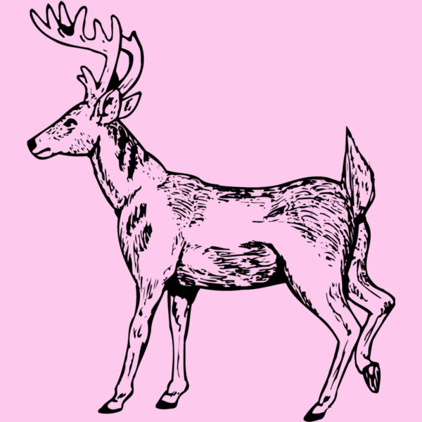 DEER019 Thumbnail