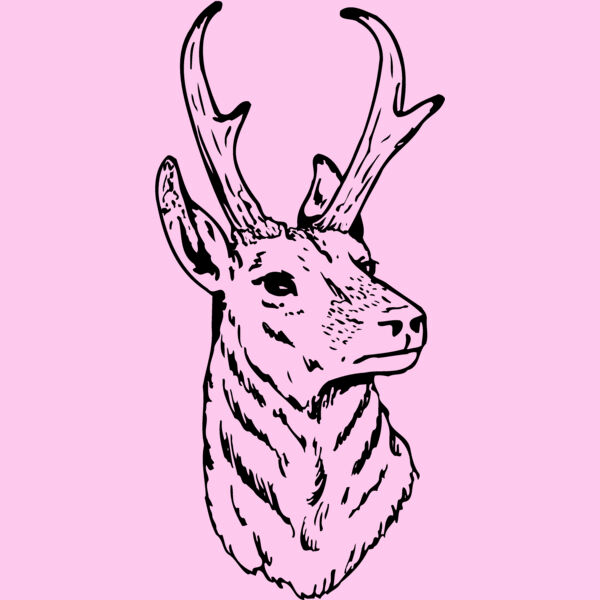 DEER023 Thumbnail