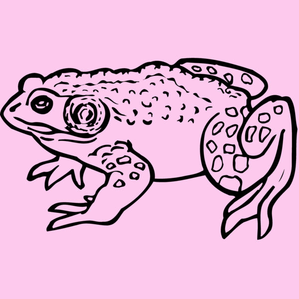 FROG02 Thumbnail