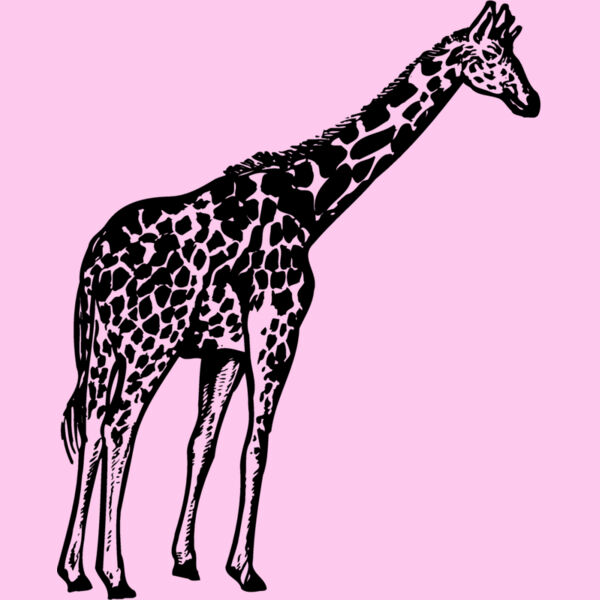 GIRAFF02 Thumbnail