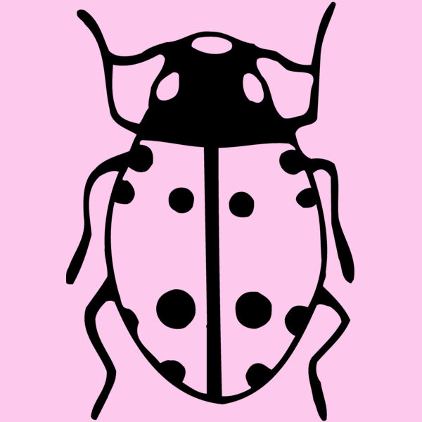 BEETLE03 Thumbnail