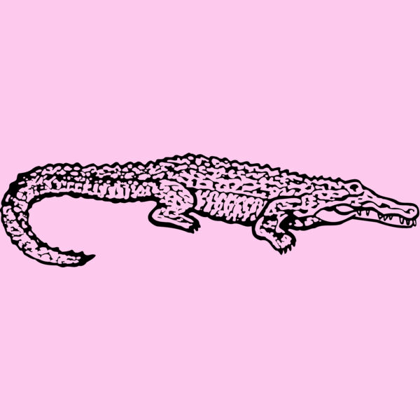 GATOR02 Thumbnail