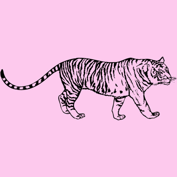TIGER003 Thumbnail