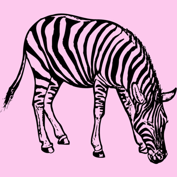 ZEBRA001 Thumbnail
