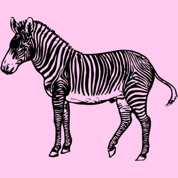 ZEBRA003 Thumbnail