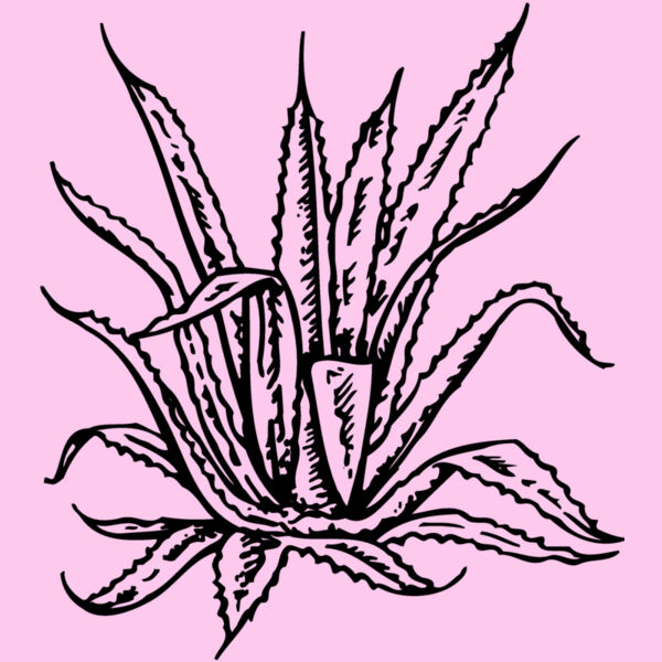 PLANT02 Thumbnail