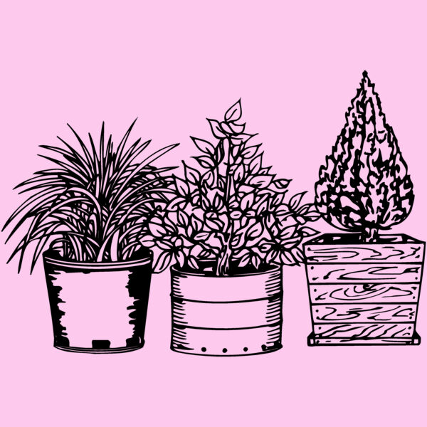 PLANT03 Thumbnail