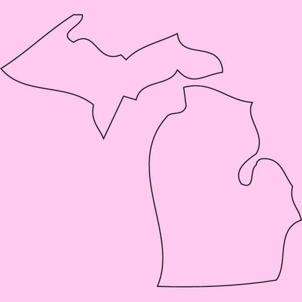 MICHIGAN Thumbnail