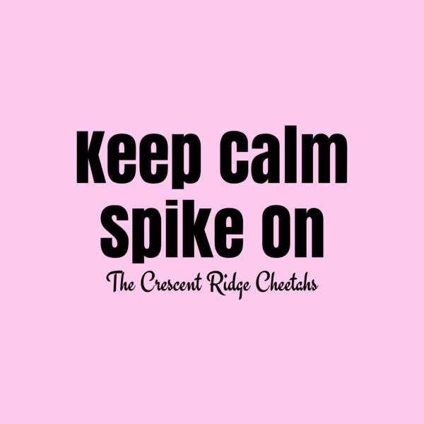 Volleyball 64 Thumbnail